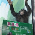 越秀公园灯会