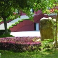 大学一角