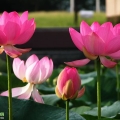 我的相册