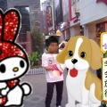 相册